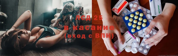 спиды Сясьстрой