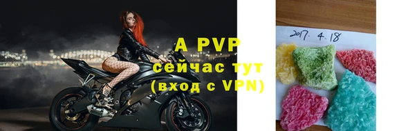 спиды Сясьстрой