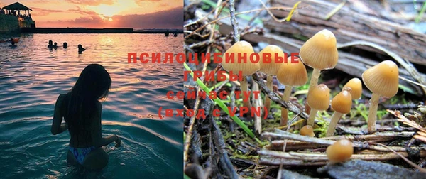 индика Снежинск