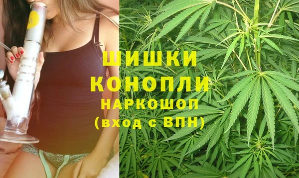 тгк Тавда