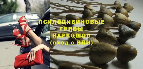 спиды Сясьстрой