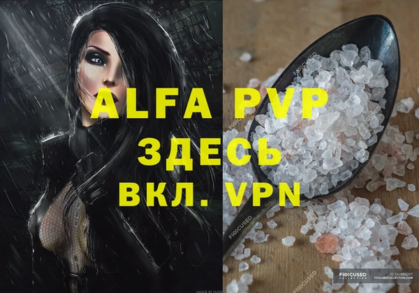 спиды Сясьстрой
