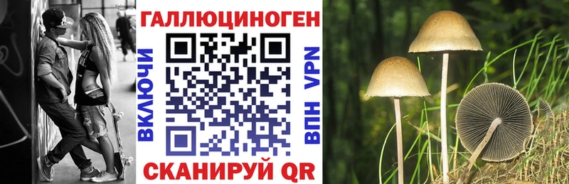 Галлюциногенные грибы мухоморы  где найти   Черноголовка 