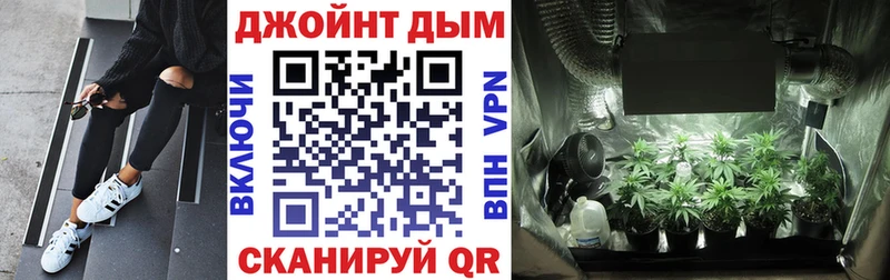 Бошки марихуана индика  кракен ТОР  Черноголовка 